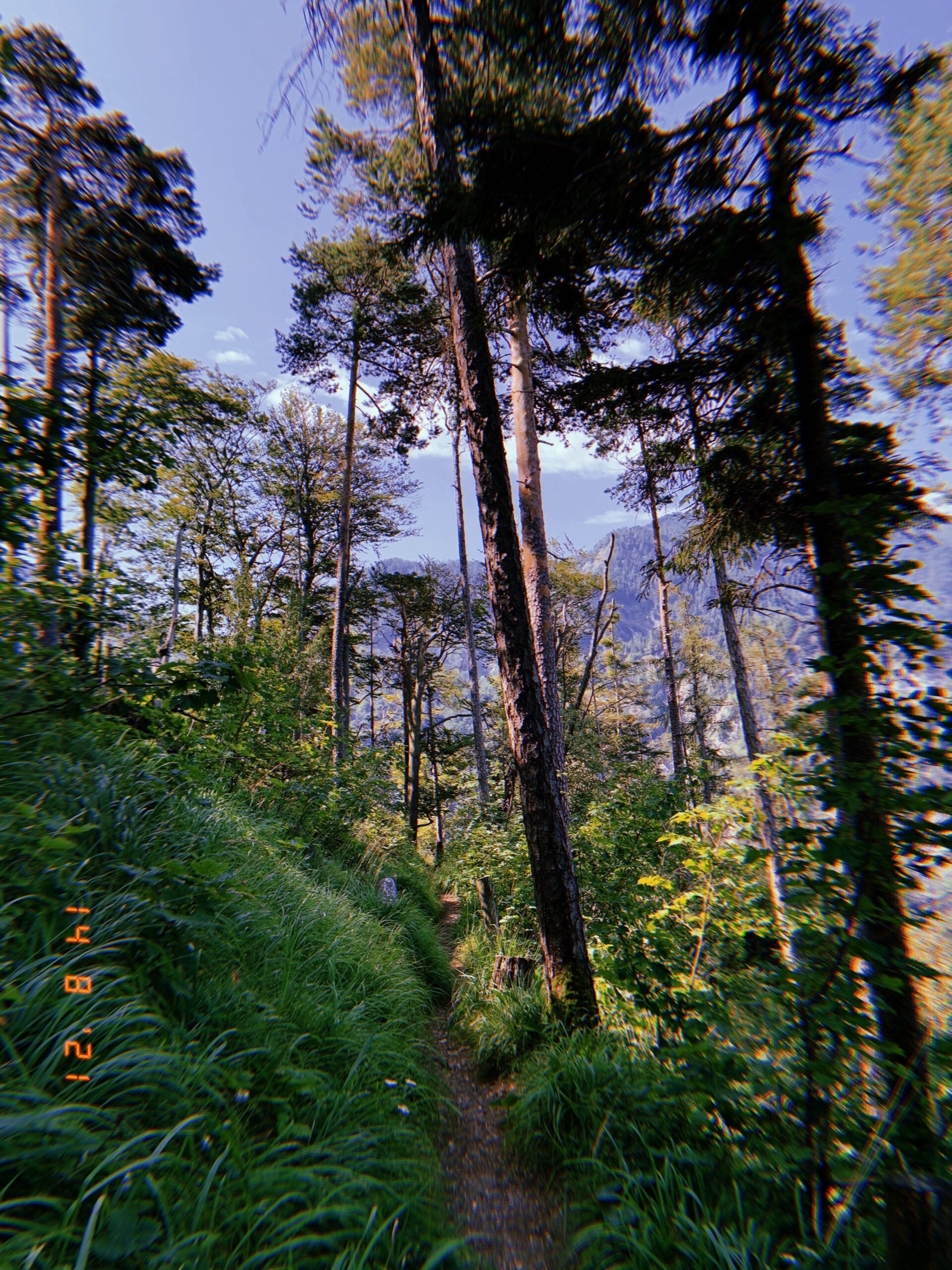 Turistika